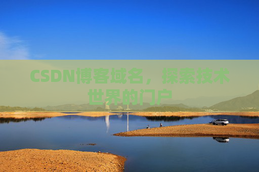CSDN博客域名,探索技术世界的门户